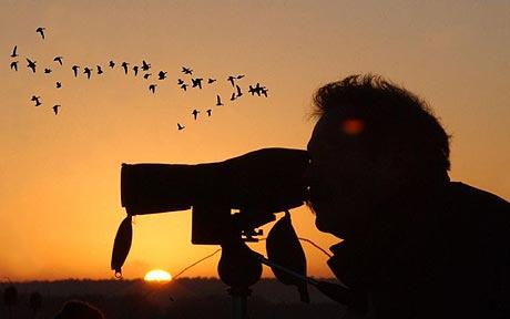 Why Turkey is a birdwatcher's heaven