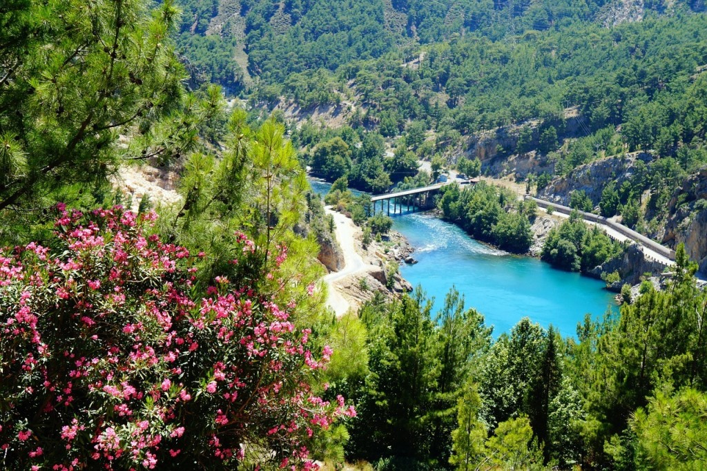 Turkey's fascinating flora and fauna