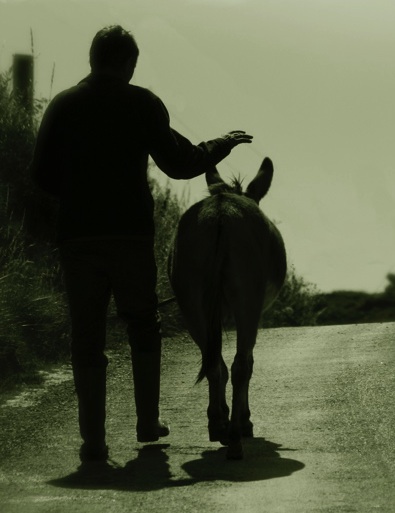 Man with donkey Man with donkey